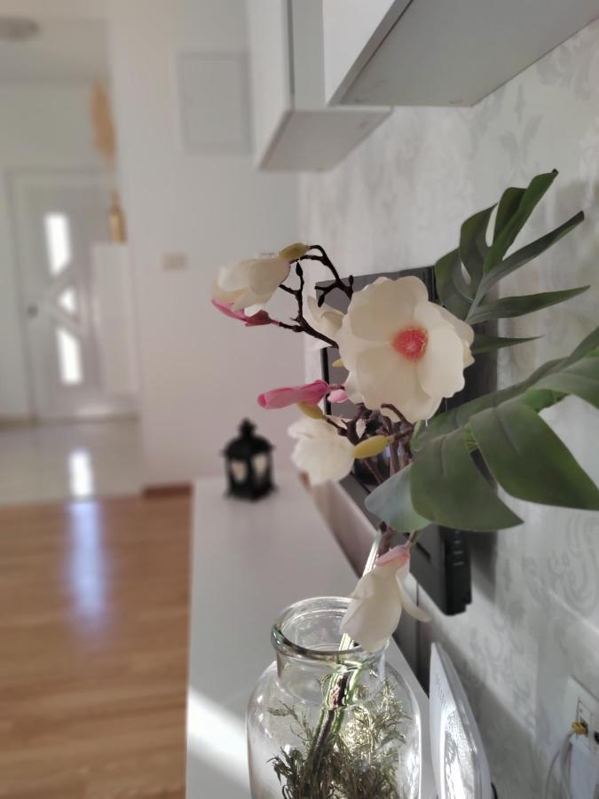 Apartments Karla I Ivano Mandre Ngoại thất bức ảnh